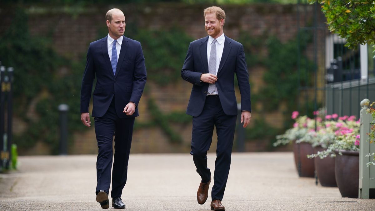 Pourquoi le prince William souffrira « le plus de tous » des mémoires du prince Harry