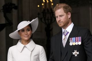 Harry and Meghan have been labelled as grifters, but Harry had plenty of ideas
