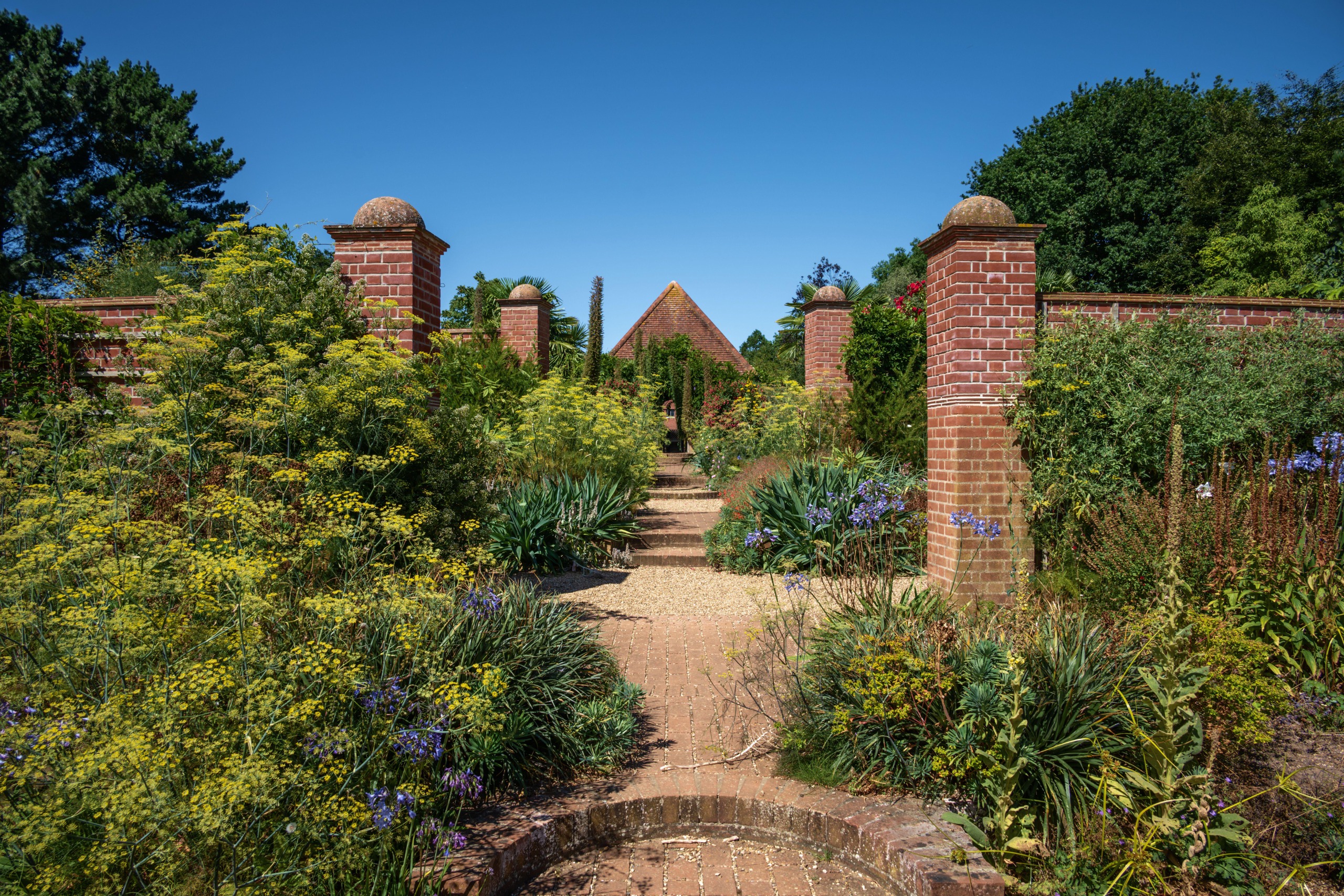 A view of a garden in full bloom