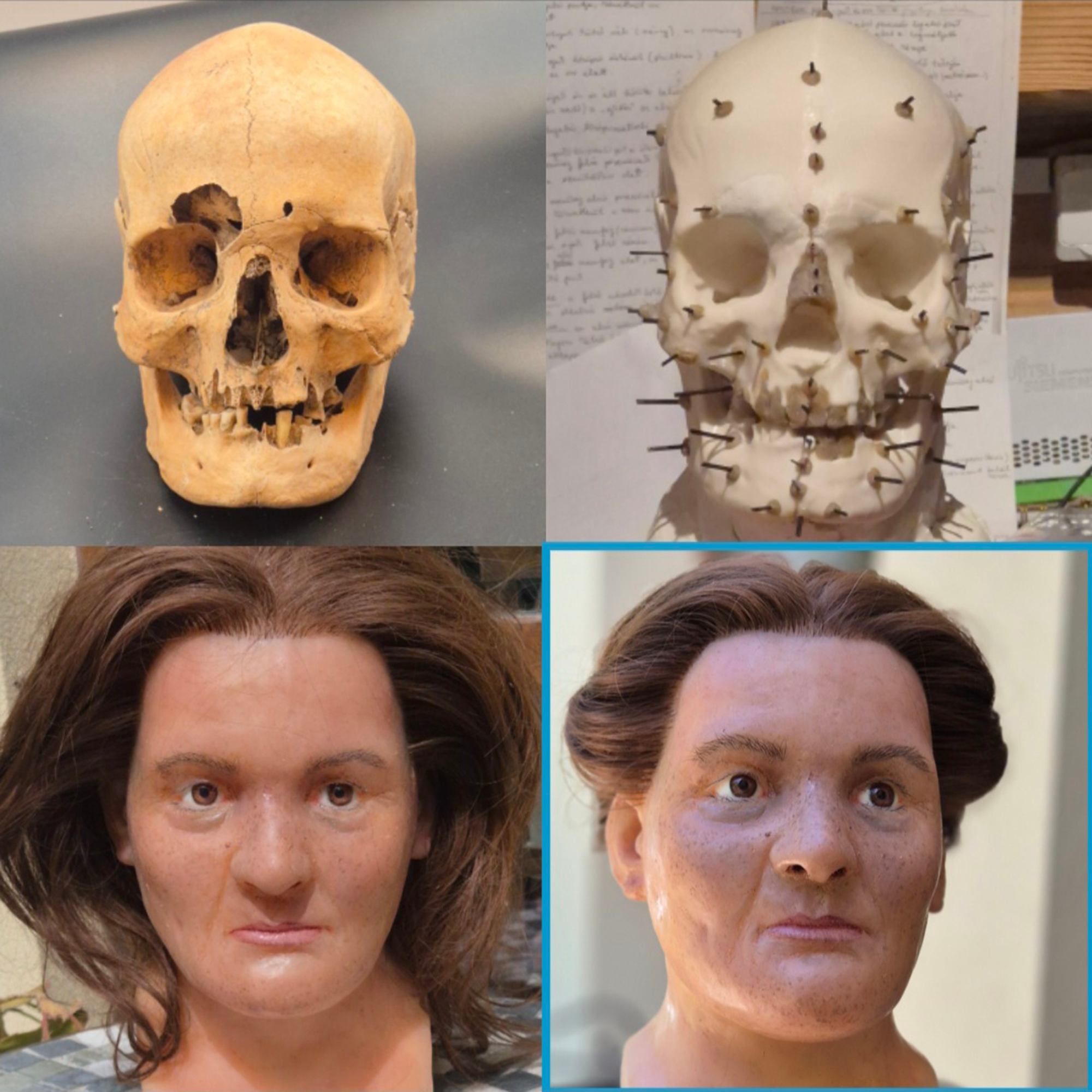 A series of images from the exhibit