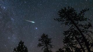 silhouettes of pine trees in the foreground and a bright green meteor streaks through the star-studded sky.