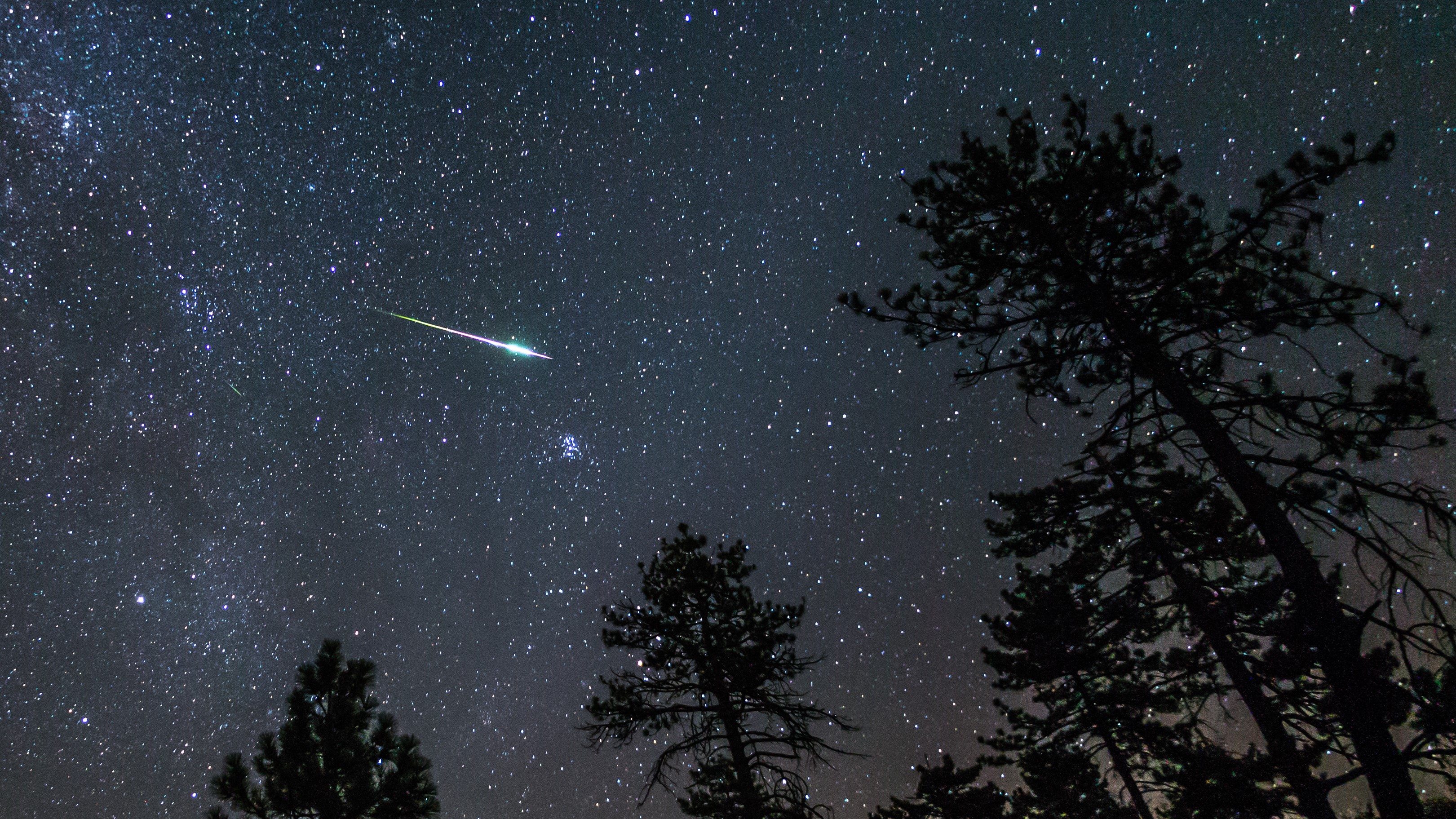 Silhouettes of pine trees in the foreground and a bright green meteor shoots through the starry sky.