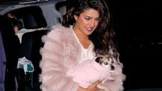 adorable pics of celebrities and their pets