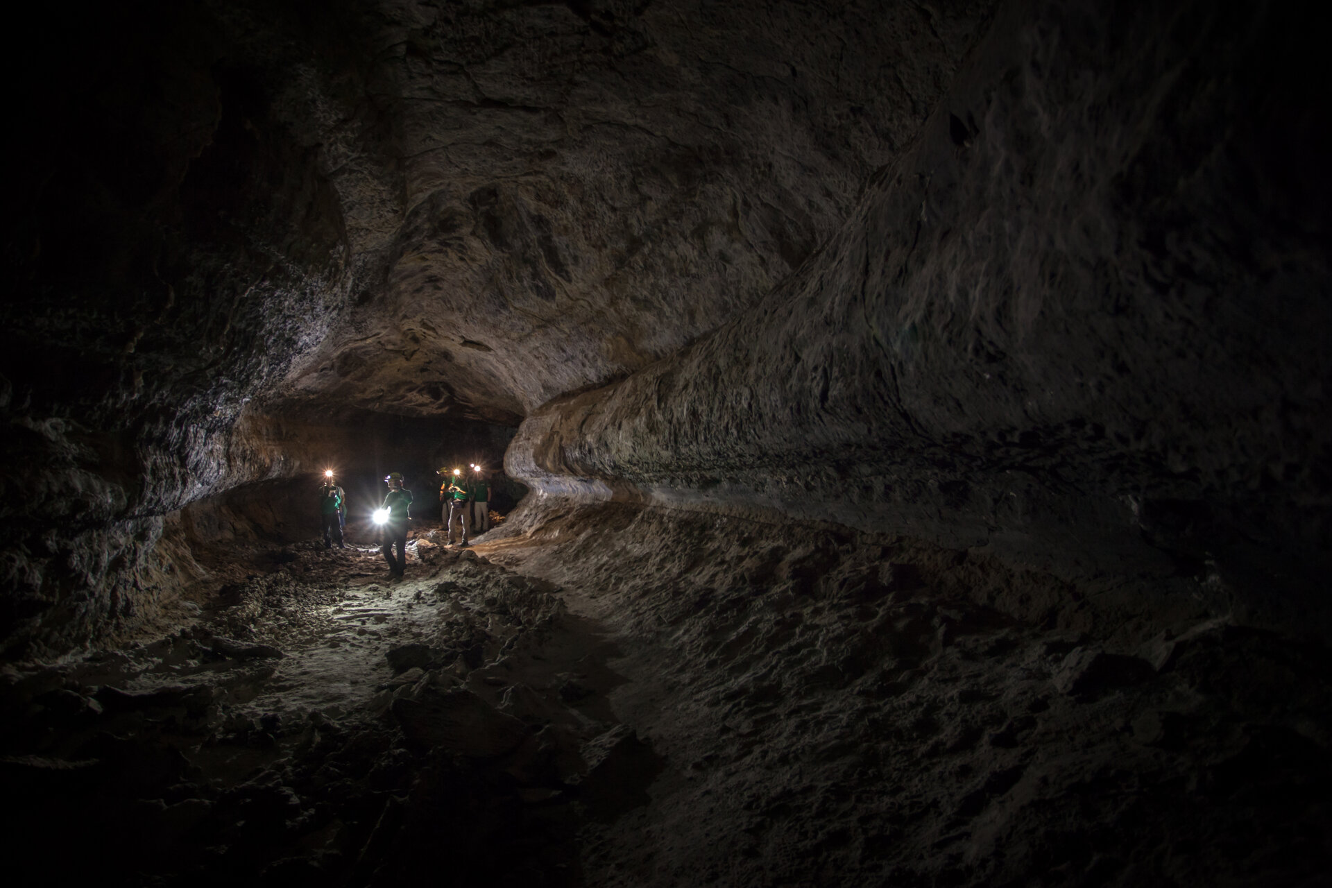 Scientists in a large cave-like tunnel holding flashlights.