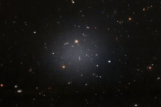 NGC 1052-DF2 galaxy seems to have no dark matter