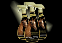 gleam-products.jpg
