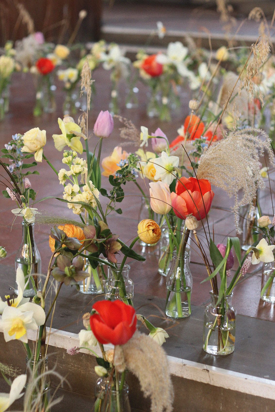 How to grow ranunculus indoors 5 tips for perfect blooms Livingetc