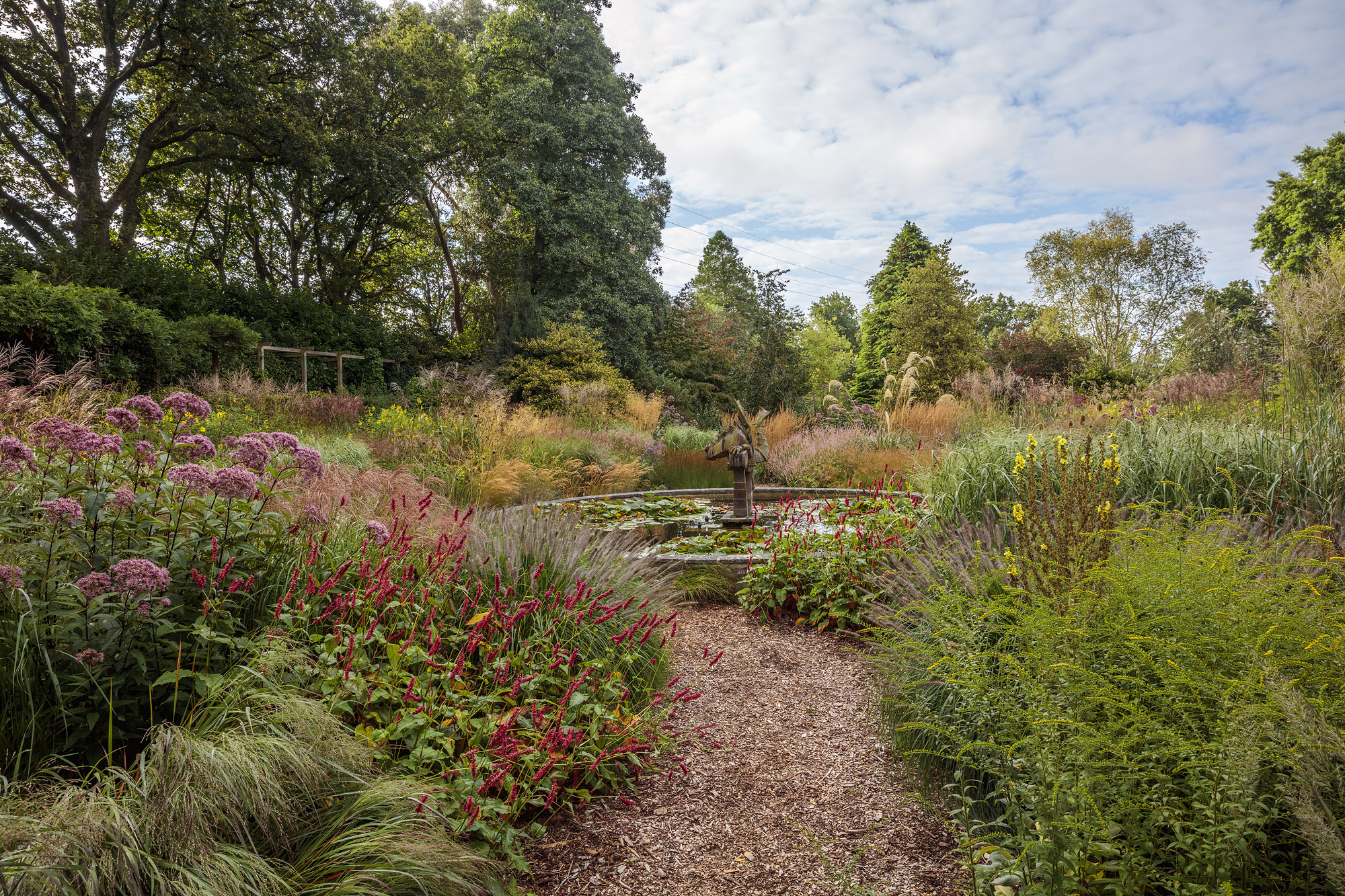 Different types of grasses at Knoll Garden, Dorset