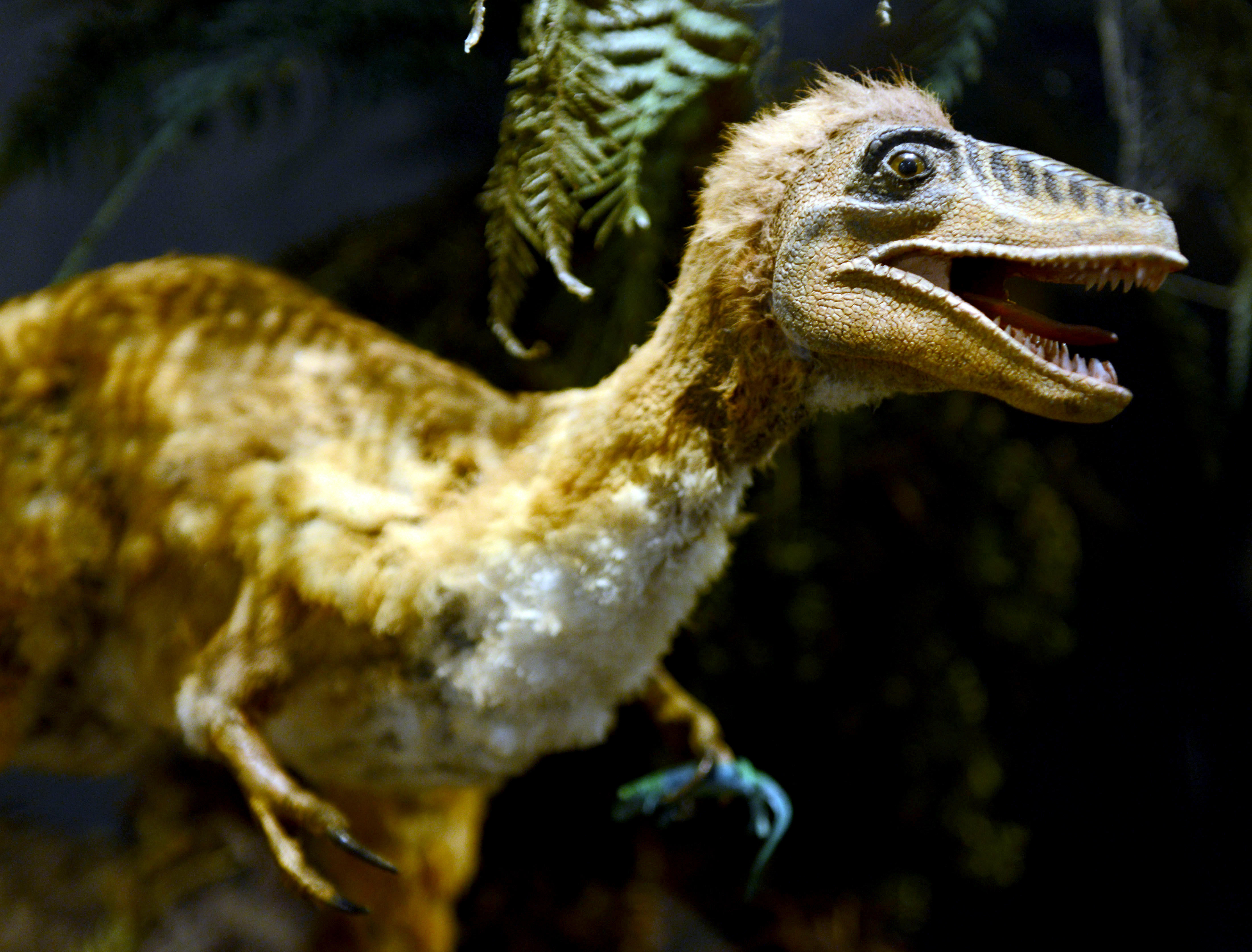 a model of a bird dinosaur