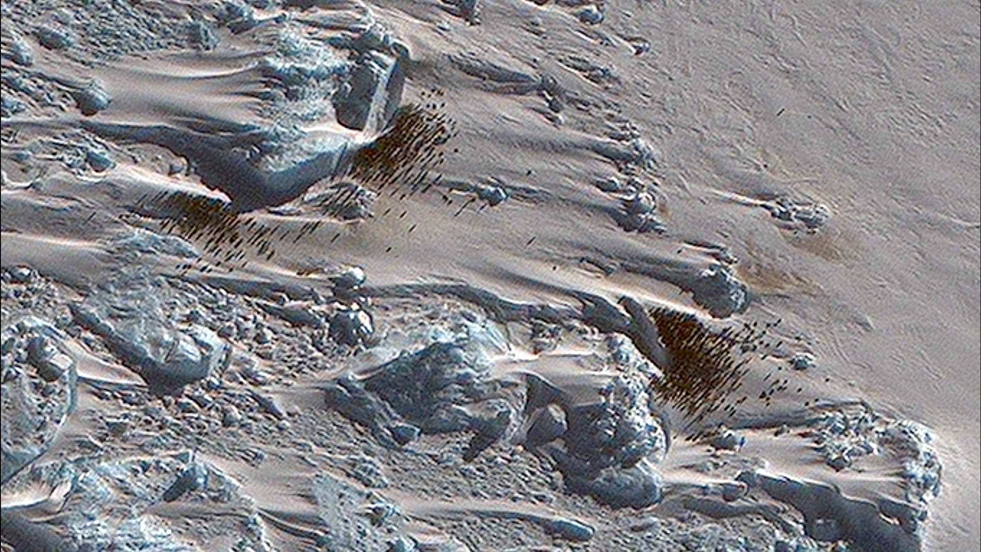 High-resolution photographs taken by the MAZAR WorldView3 satellite in October show the previously unknown penguin colony on the sea ice. The guano stains and even individual penguins are now visible.