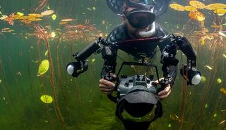 Shane captured his winning image while diving in a lake in British Columbia, Canada ©Shane Gross