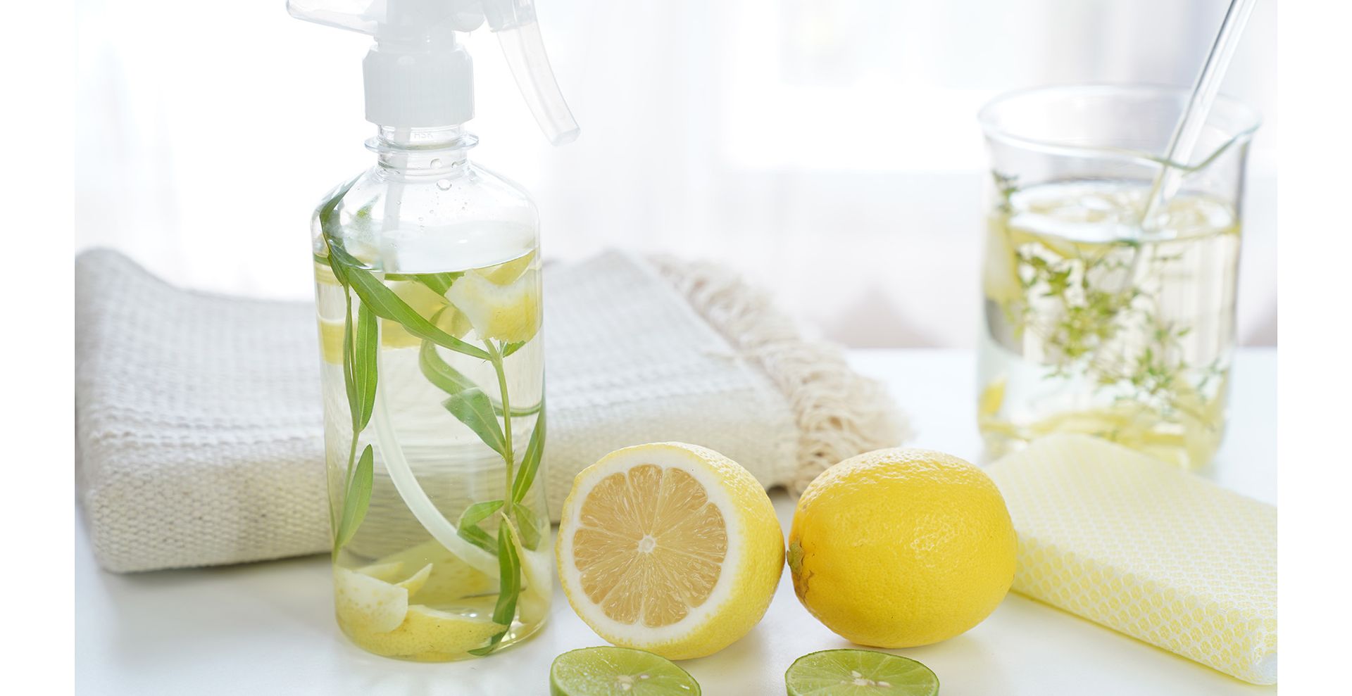 a spray bottle with a citrus solution to use for how to keep ants away