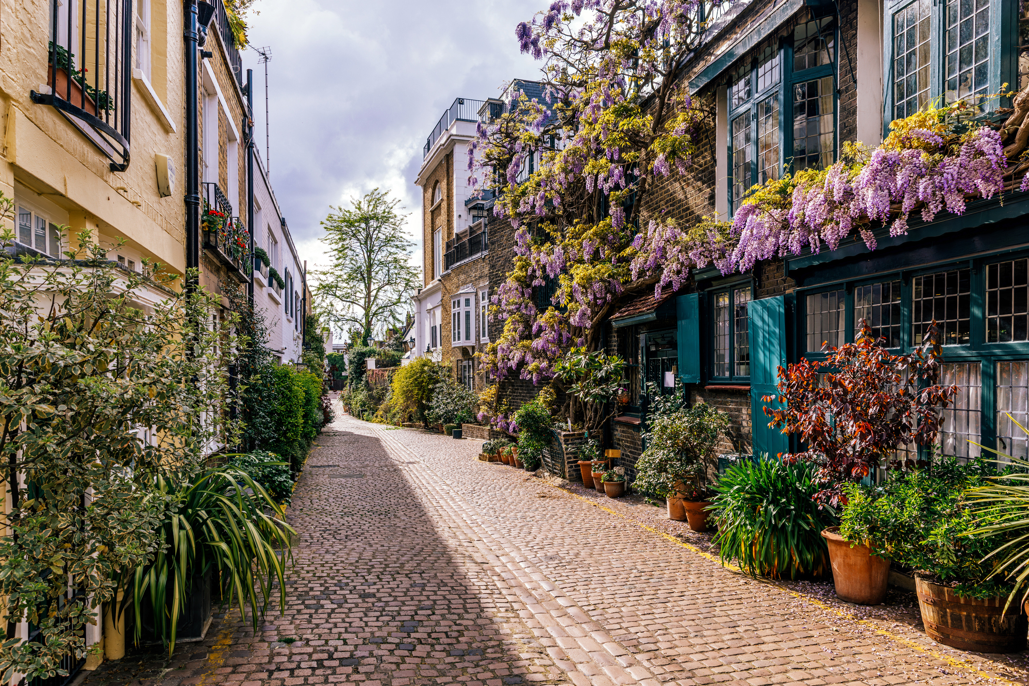 Row of houses in London