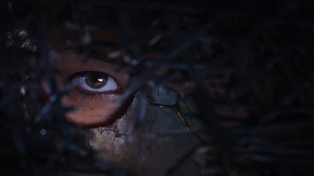 Ghost of Yotei protagonist's eye seen through straw hat