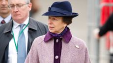 Princess Anne, The Princess Royal attends day 2, Ladies Day, of the Cheltenham Festival on March 16, 2016