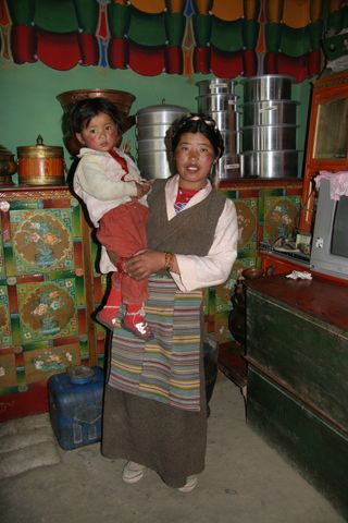 Tibetan women with genotypes for high oxygen saturation have more surviving children than women with genotypes for low oxygen saturation.