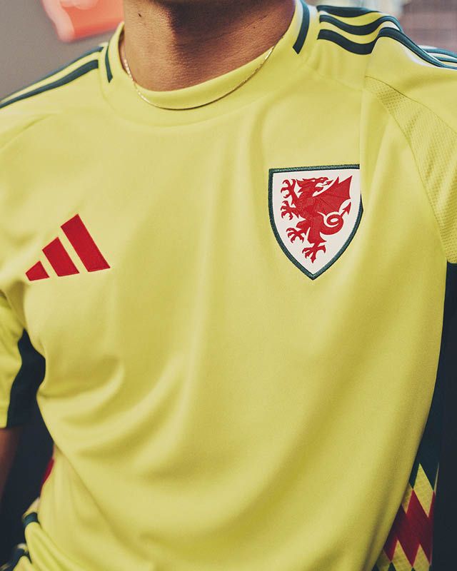 Adidas Euro 2024 kit