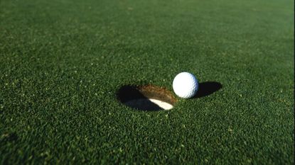 Gimmes in golf should they be allowed : golf ball resting right beside the hole
