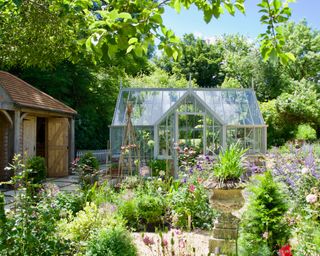greenhouse surrounded by planting in a summer garden