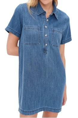 Z Supply, Authentic Denim Mini Dress