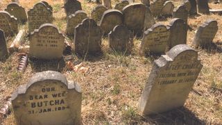 Britain’s oldest pet cemetery at Hyde Park, established in 1881. 