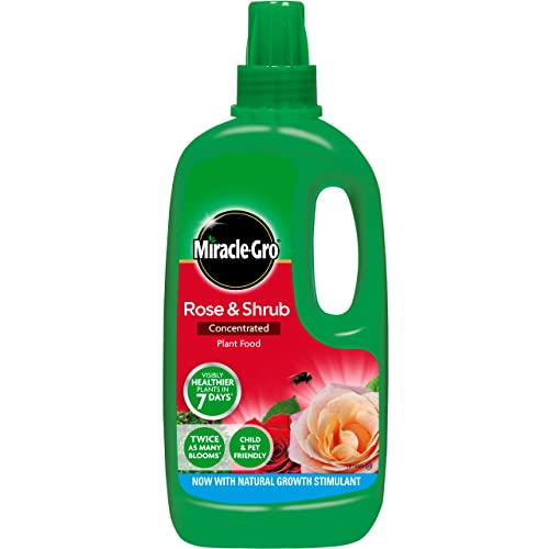 Miracle-Gro Rose &amp;amp; Shrub Concentrated Liquid Plant Food, 1 Litre