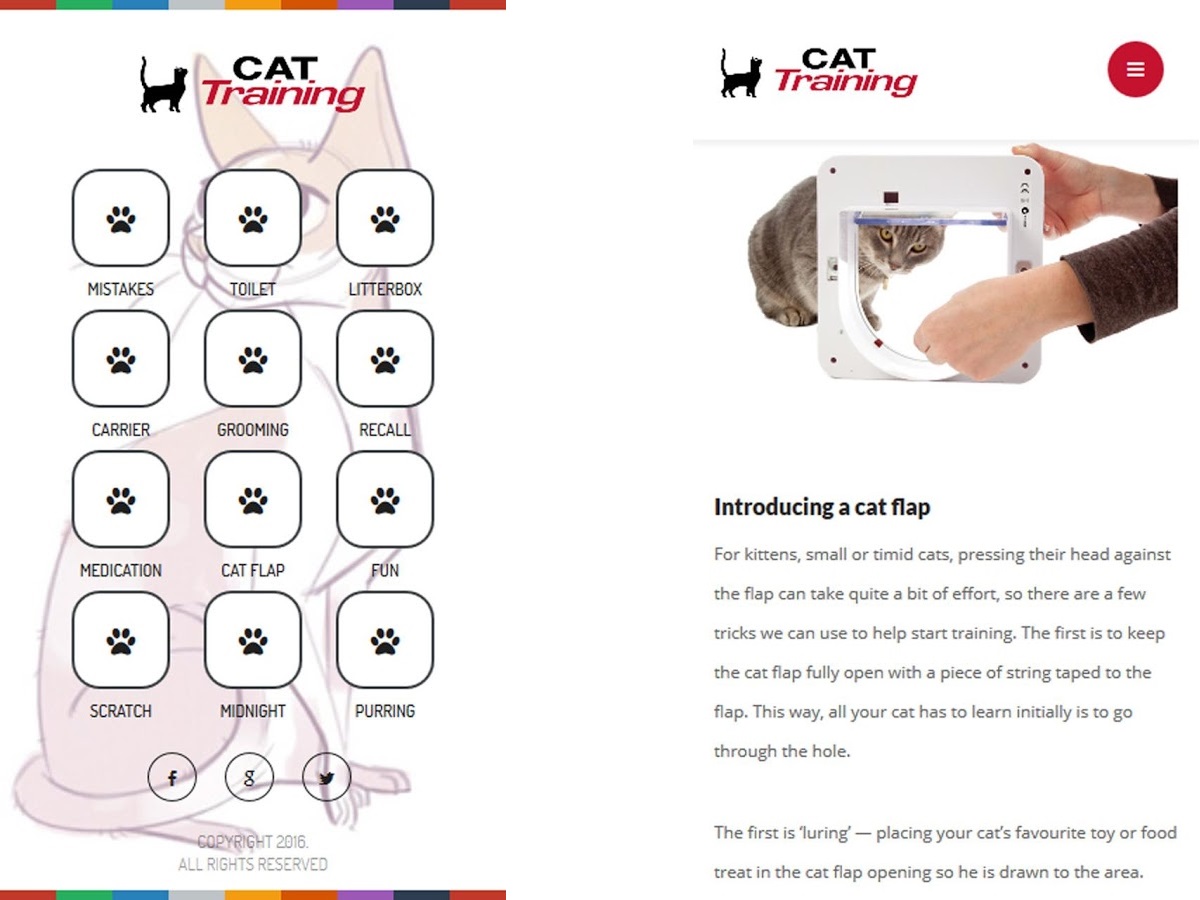Cat Training (Android: Free)