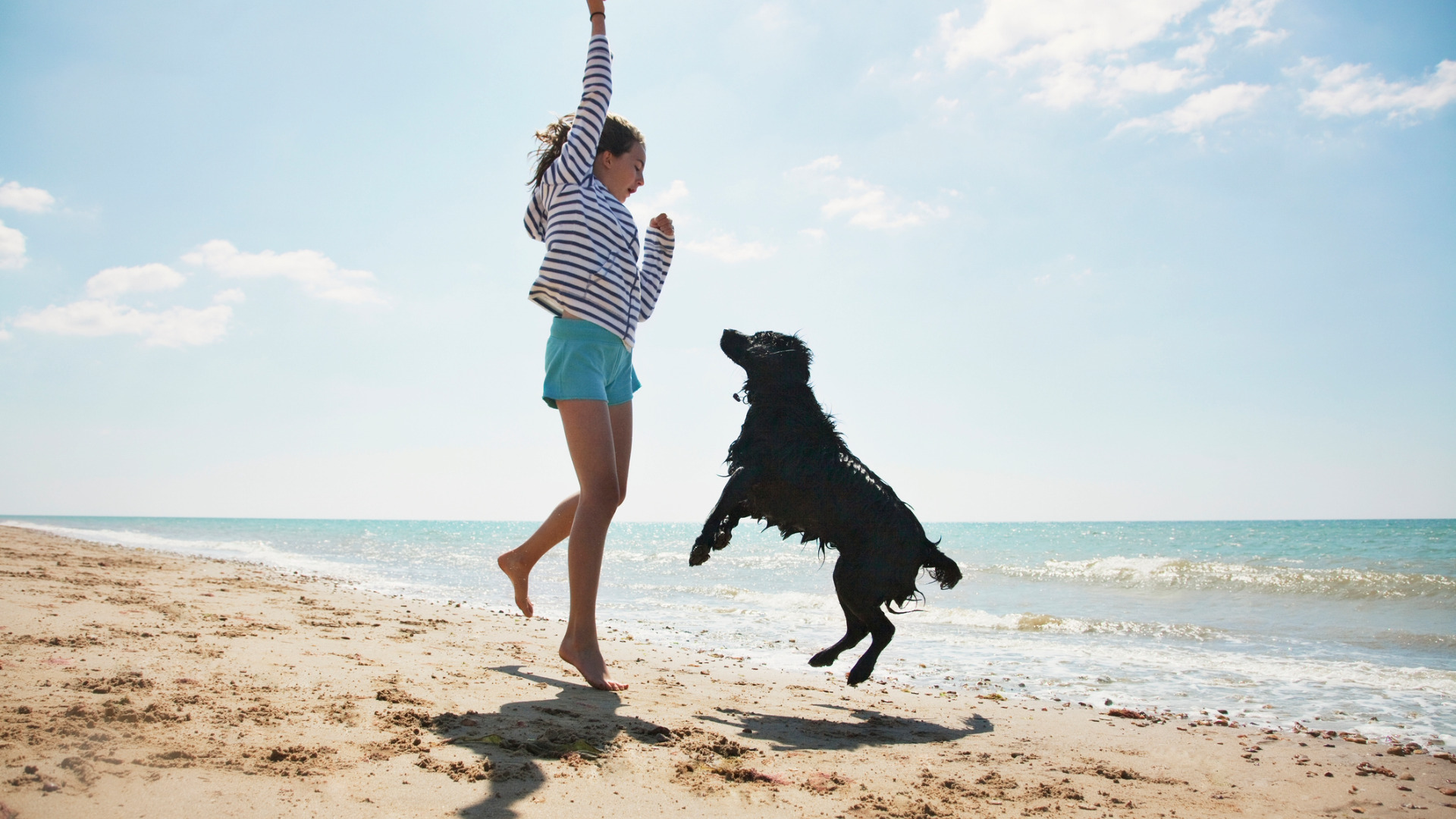 girl playing with dog on a sunny beach