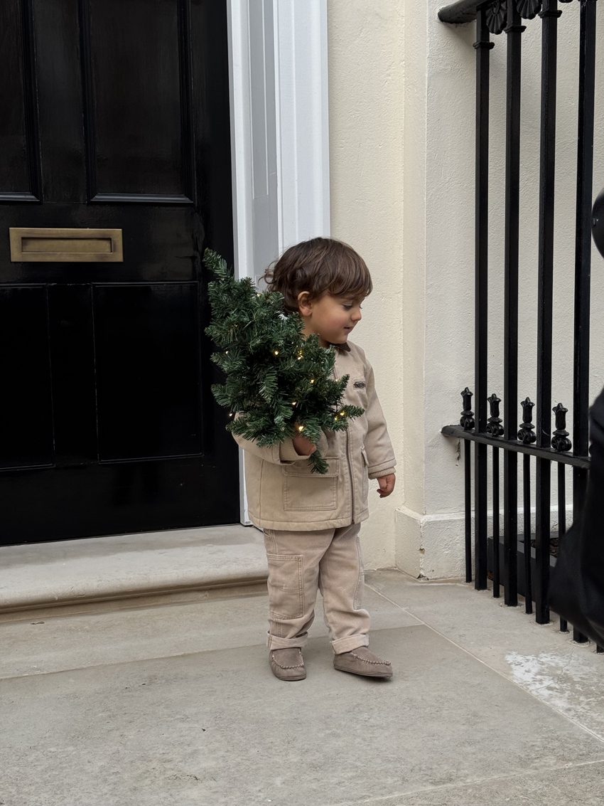 Little boy holding Christmas tree