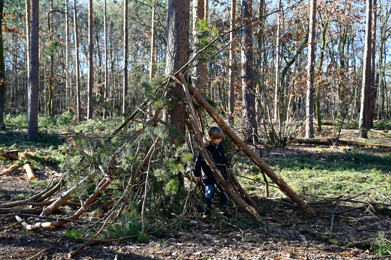 Forest school activities