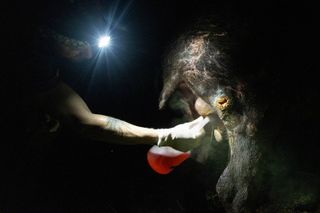 At 17 minutes past midnight, two men in the Costa Rican rainforest fight to save a tapir from a flesh-eating parasite. Michiel van Noppen was there to photograph the action in style