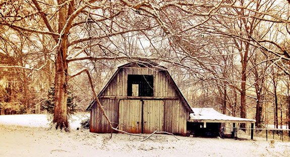 Zombie Barn