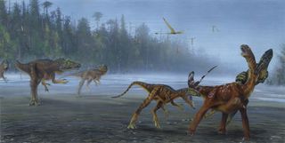 This illustration shows a pack of the newly discovered Allosaurus jimmadseni attacking a young sauropod. 