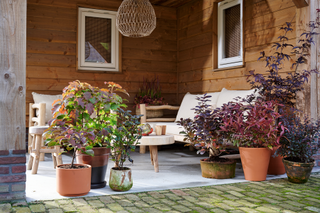 Outdoor seating patio with potted plants