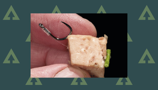 Best meat fishing bait: a cube of luncheon meat being anchored with a hair rig