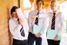 High School Bullies