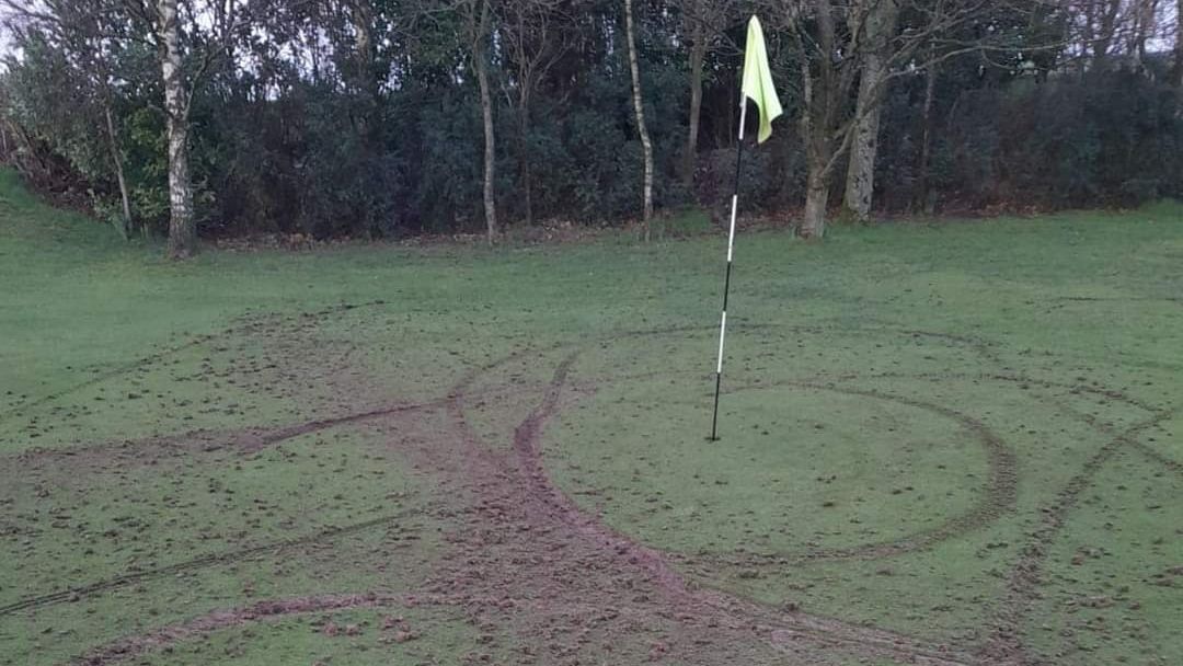 Tyre tracks in a green