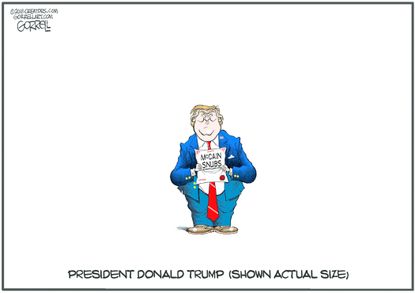 Political cartoon U.S. Trump small John McCain death disrespect