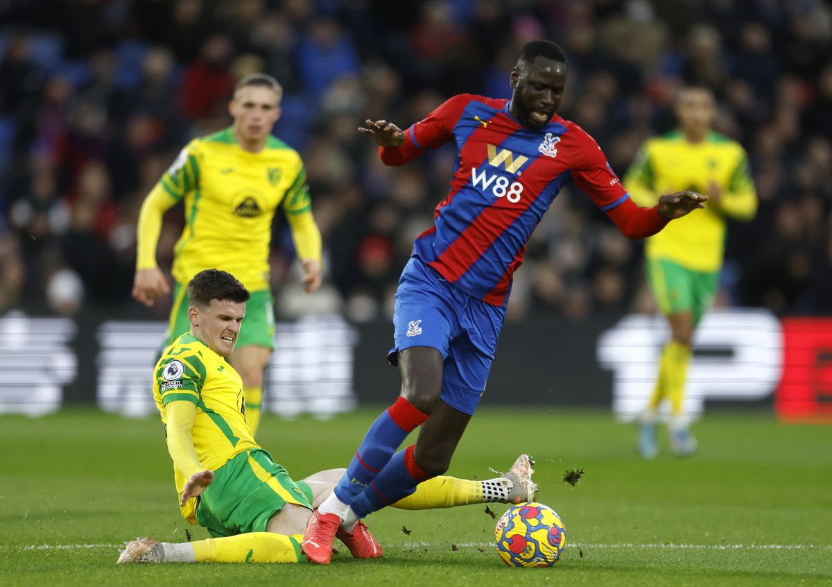 Crystal Palace v Norwich City – Premier League – Selhurst Park