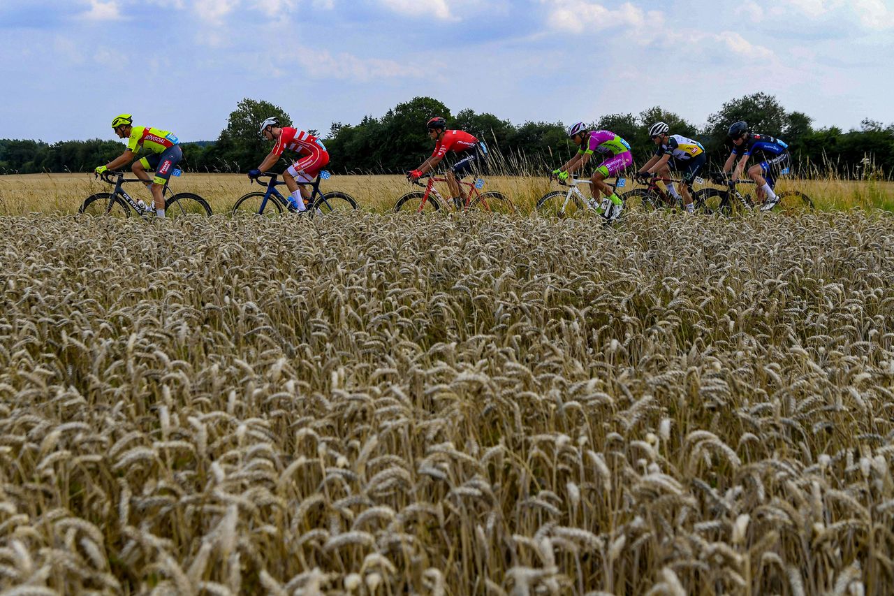 Tour of Denmark 2021 - 31st Edition - 3rd stage Tonder - Vejle 219,2 km - 12/08/2021 - Scenery - photo Thomas Sjorup/CV/BettiniPhoto&Acirc;&copy;2021