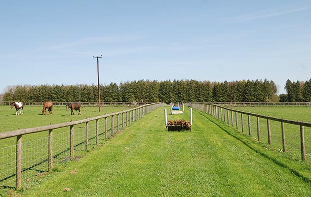 paddocks