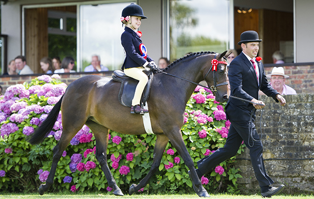 SEAMOOR-LADY-DERBY-01.jpg