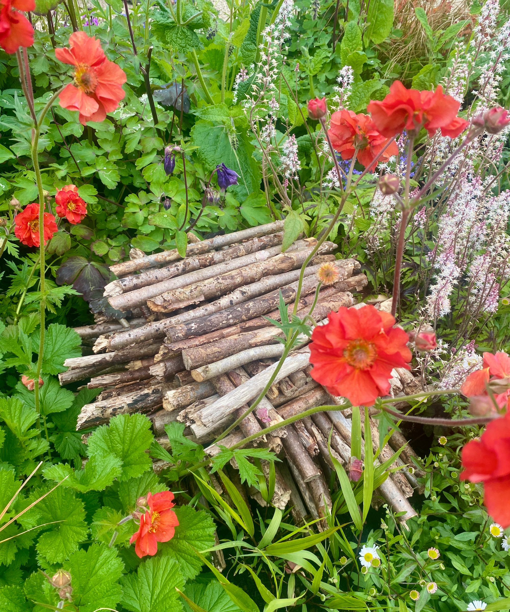 bug hotel in a border made of sticks