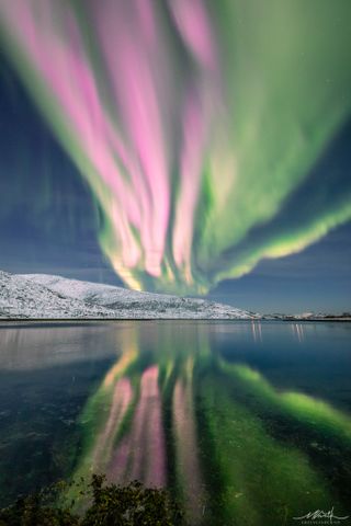 Seasoned aurora chaser Markus Varik was surprised by the second sighting of pink auroras in less than two months.