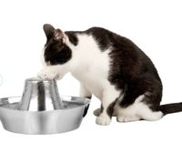 PetSafe Seaside Stainless Steel Cat Water Fountain
Was $52.99, now $25.77