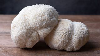 Two heads of lion's mane mushrooms sitting together on wooden table