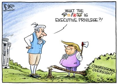 Political Cartoon U.S. Trump Executive Privlege Cherry Tree Congress