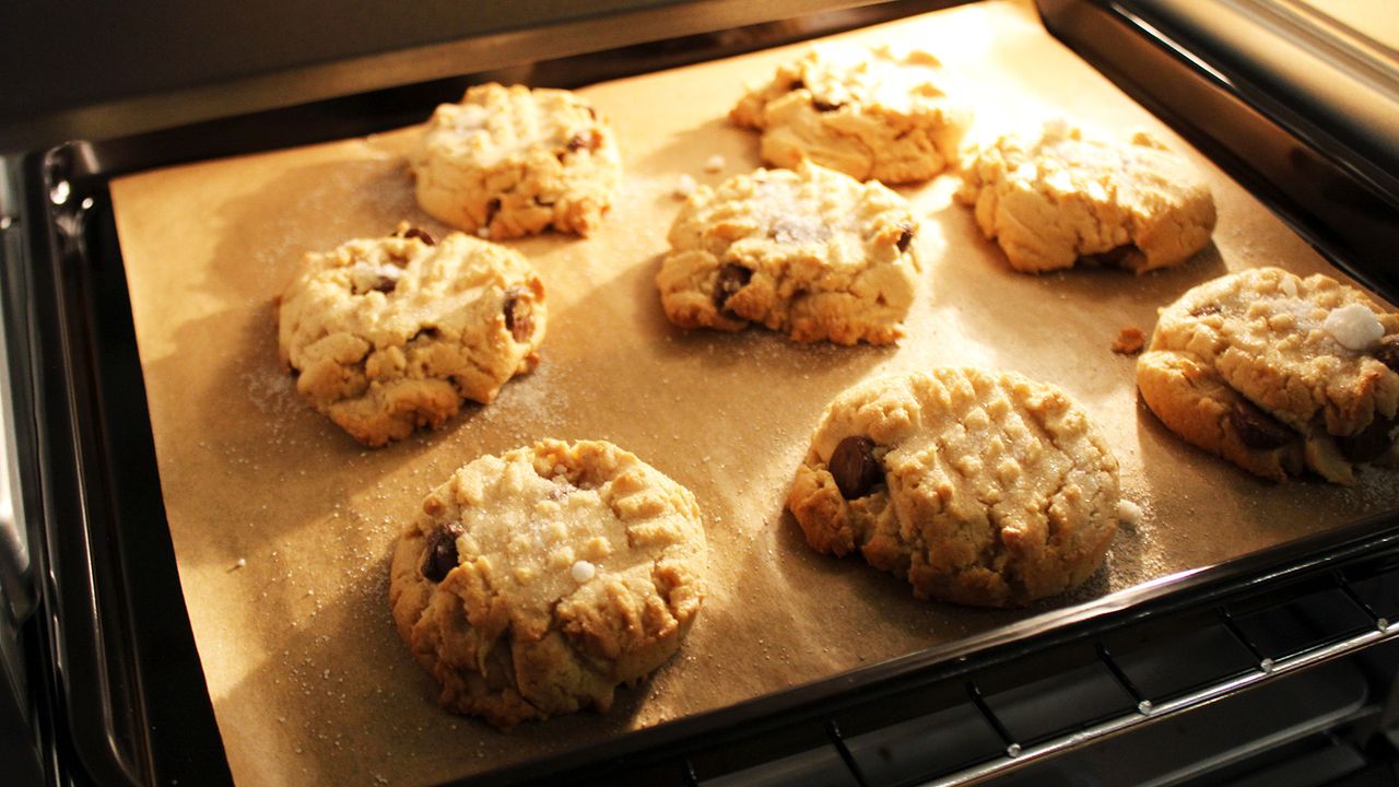 Fresh cookies baking in the Ninja Prestige Smart XL Air Fryer &amp; Countertop Oven