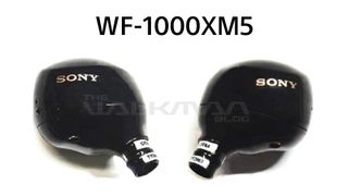 A leaked look at the upcoming Sony WF-1000XM5.