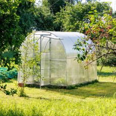 greenhouse in yard 